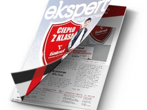 Ekspert Ogrzewnictwa nr 6